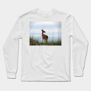 Deer Checking Out The Beach Long Sleeve T-Shirt